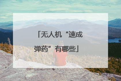 无人机“速成弹药”有哪些